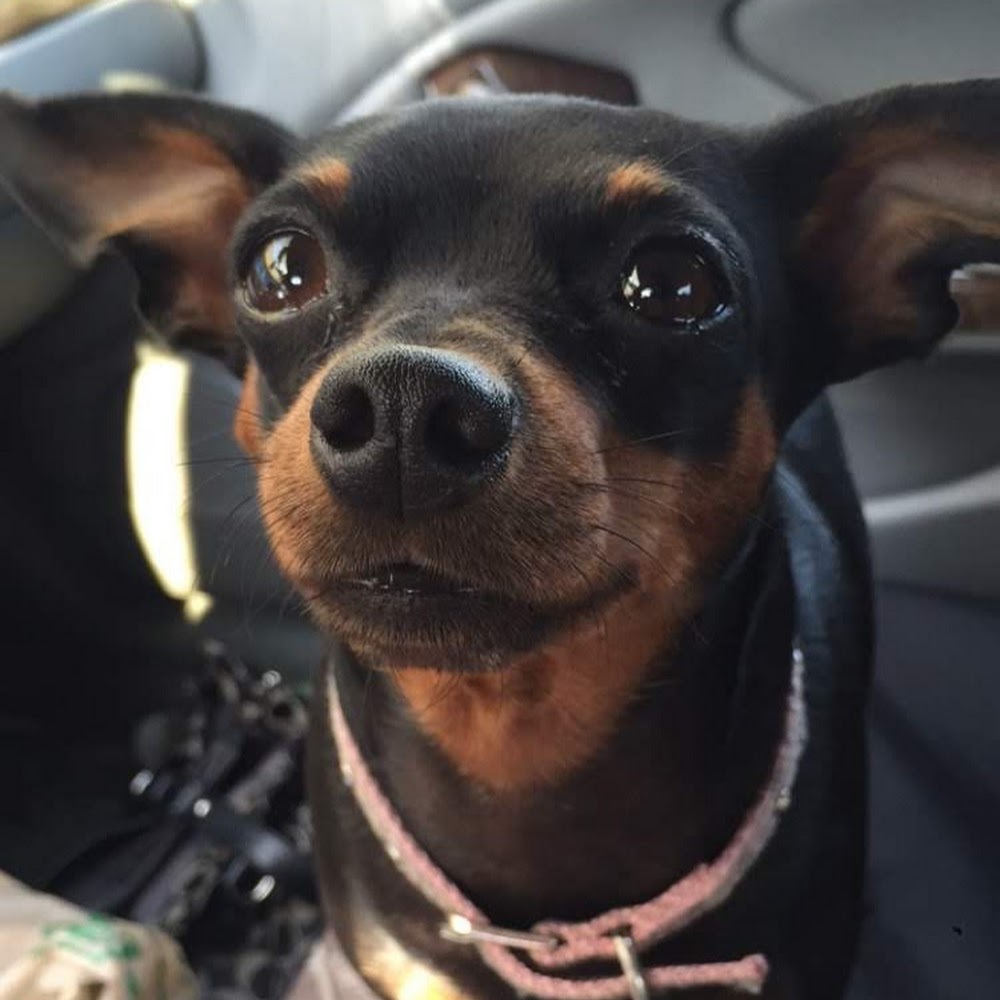 Meet your Posher, Alexis